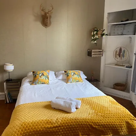 Daire Le Botanica Bel Situe A 5 Min De La Gare D'angers Angers