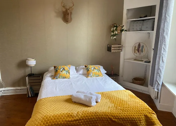 公寓 Le Botanica Bel Situe A 5 Min De La Gare D'angers 昂热